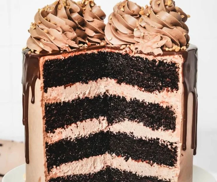 Delicious slice of Chocolate Nutella Cake with a glossy chocolate topping