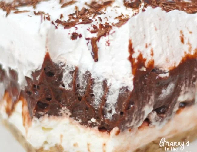 Delicious Chocolate Delight dessert served on a plate with chocolate drizzles.