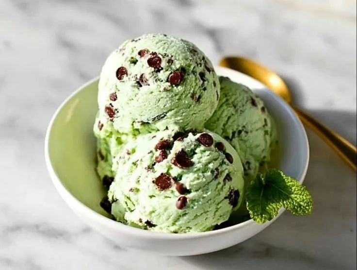 Mint Chocolate Chip Protein Ice Cream in a bowl with chocolate chips